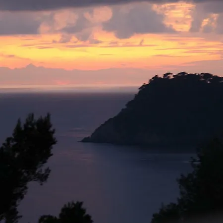 Daire Presqu'ile De Giens