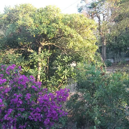 Presqu'ile De Giens * Hyères